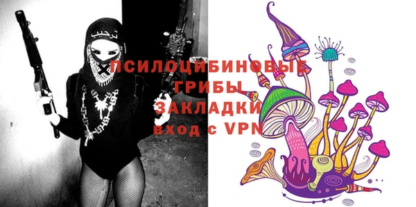индика Заводоуковск