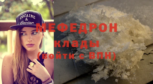 индика Заводоуковск