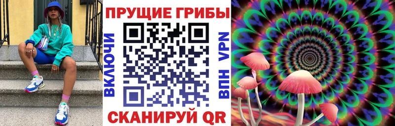 Купить где  Арсеньев  Псилоцибиновые грибы Psilocybine cubensis 